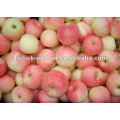 China produziu a maçã fresca da gala